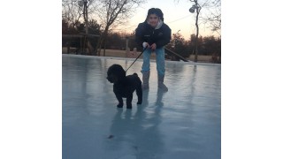 My puppy Max loves the rink!